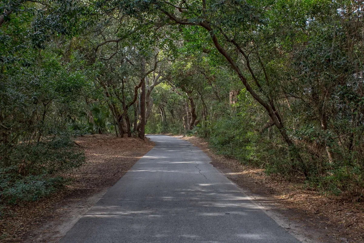 A tranquil, shaded road winding beneath a lush tree canopy, surrounded by natural foliage. The inviting path hints at exploration and discovery, evoking the spirit of adventure and the leisurely pace of golf cart travel around the island.